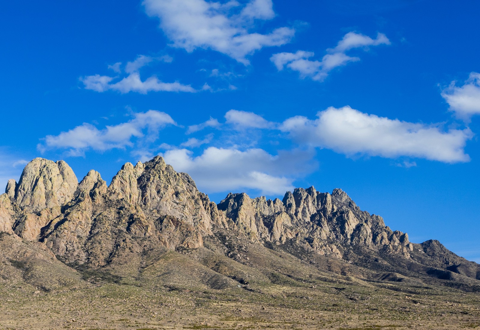 The Organ Mountains above Las Cruces, where Esencia Coffee travels for coffee catering across New Mexico